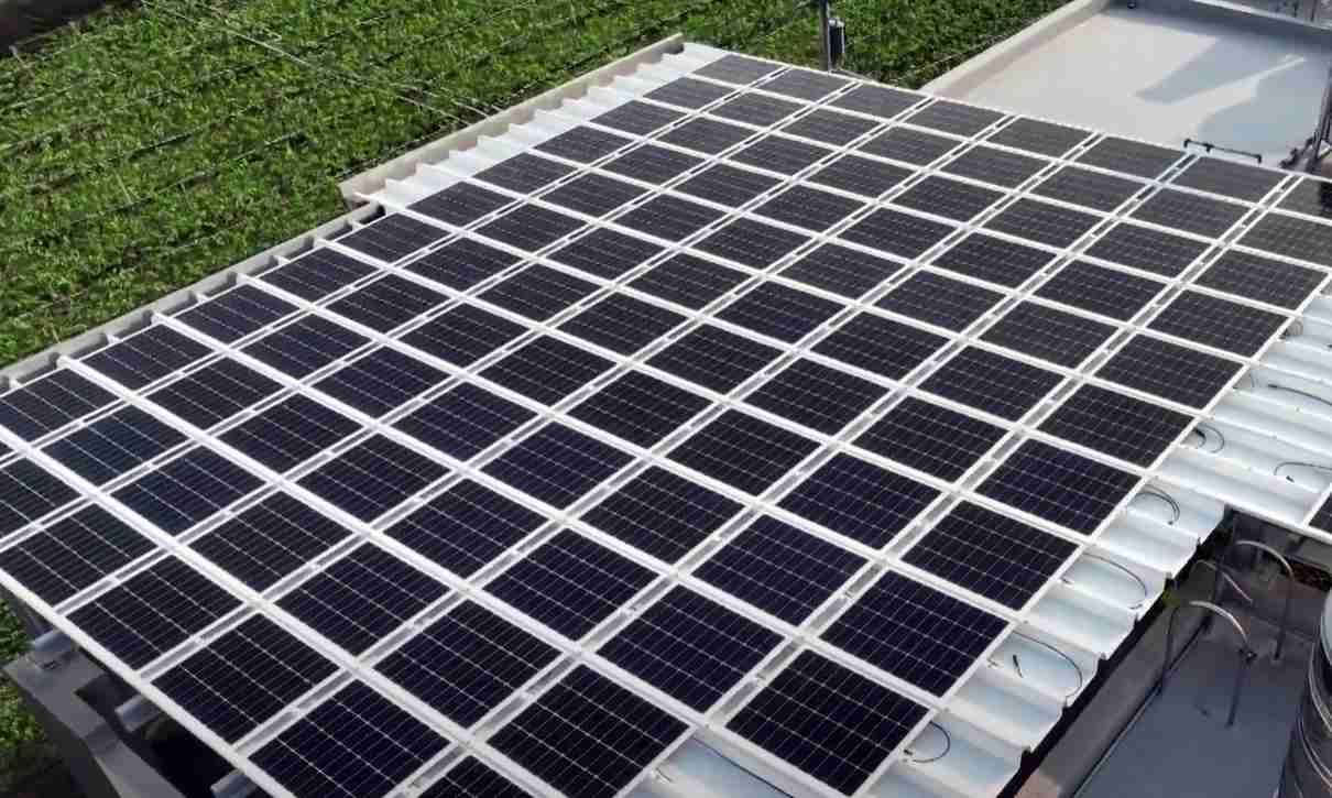 彩霸王SunSteel光电浪板升级双玻结构，，，以提升机械负载强度及气候耐候度，，，可广泛运用于多元场域